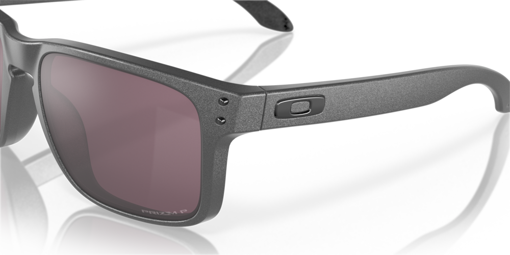Oakley Holbrook Steel With Prizm Daily Polar