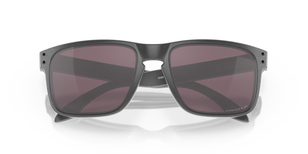 Oakley Holbrook Steel With Prizm Daily Polar