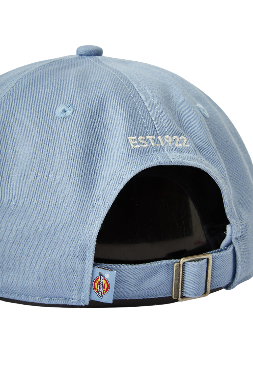 Dickies Essential Dad Cap Endless Sky
