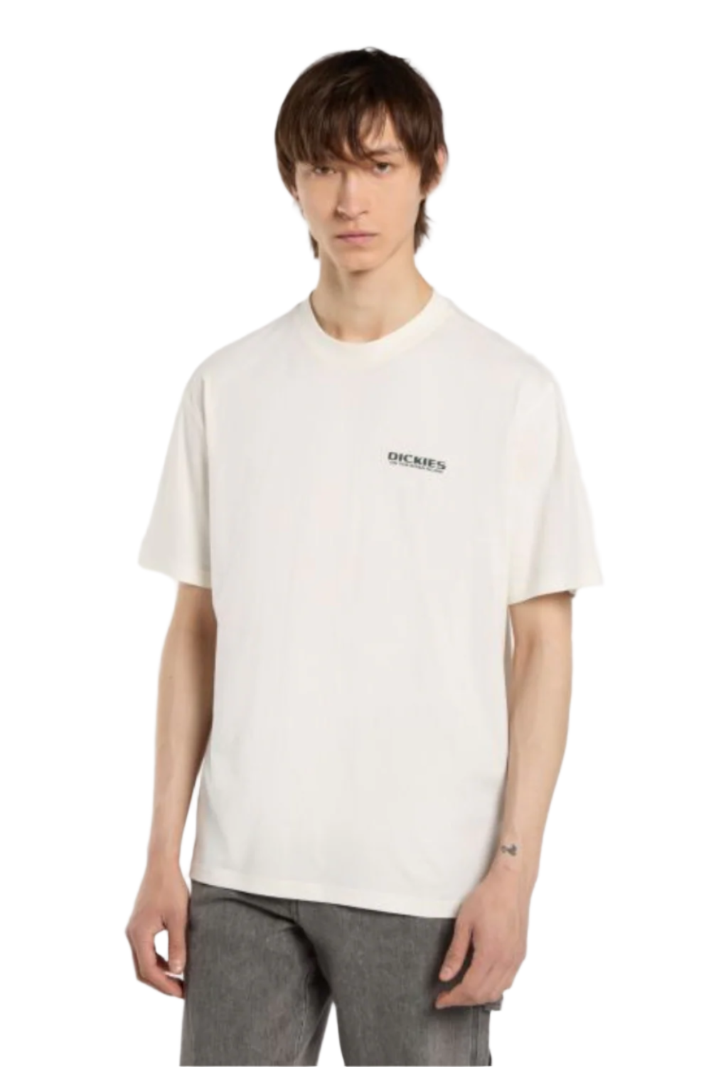 Dickies Burns Short Sleeve T-Shirt Egret