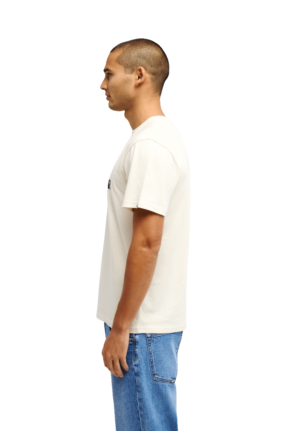 Quiksilver EV Vista Mens T-Shirt Bone White
