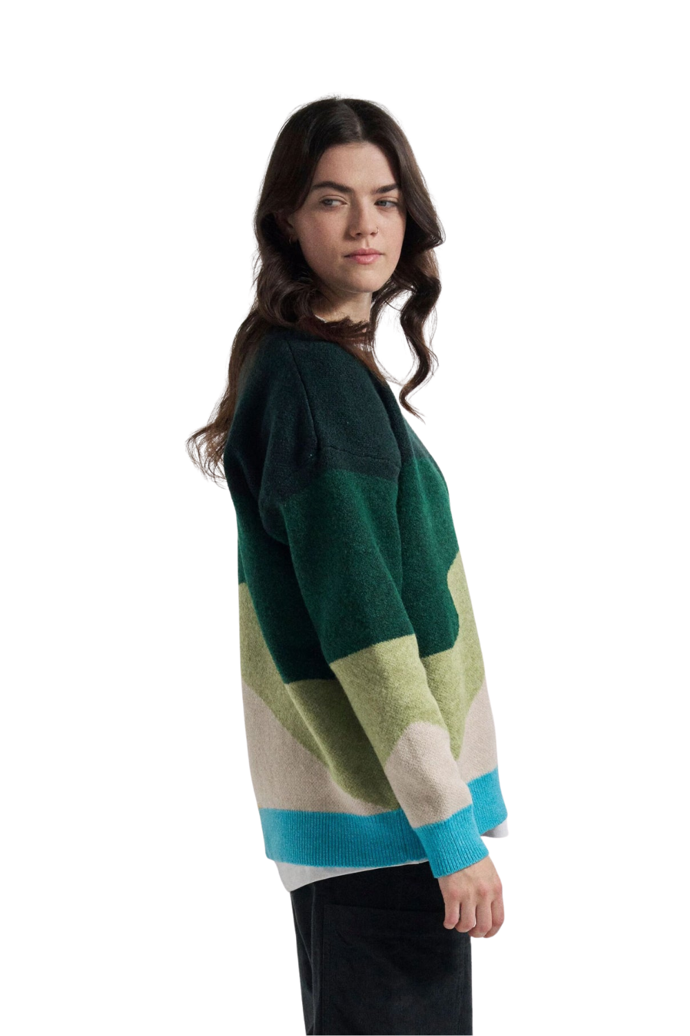 Passenger Scenic Womens Recycled Knitted Jumper Scenic Dark Fern