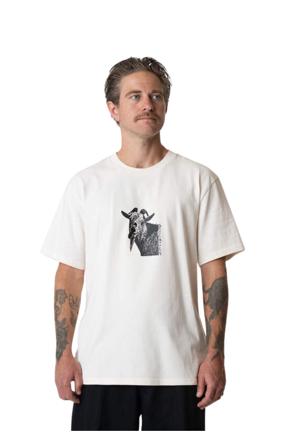 Dickies Mike Anderson Graphic Short Sleeve T-Shirt Natural