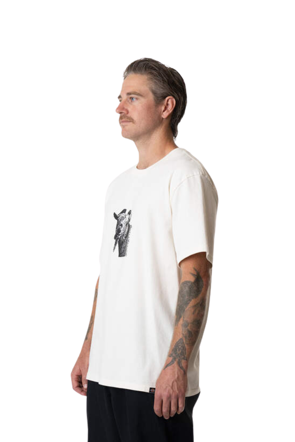 Dickies Mike Anderson Graphic Short Sleeve T-Shirt Natural