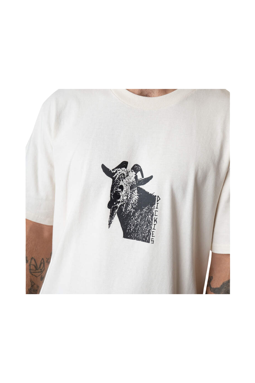 Dickies Mike Anderson Graphic Short Sleeve T-Shirt Natural