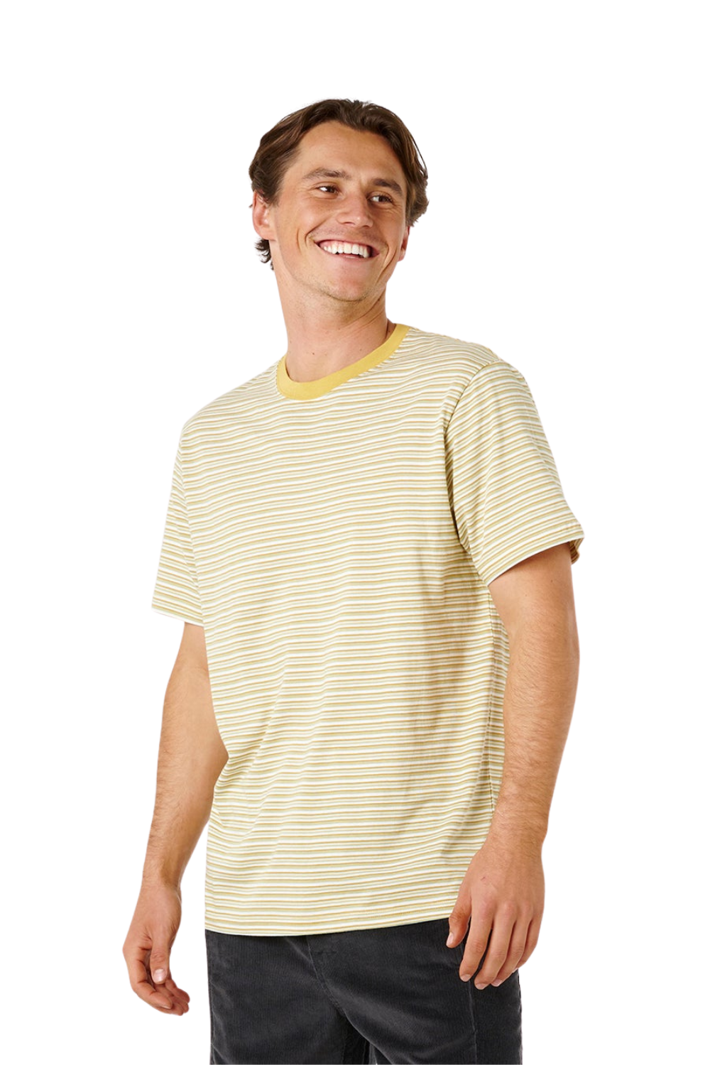 Rip Curl Artist Of The Search Mens Stripe T-Shirt Bone