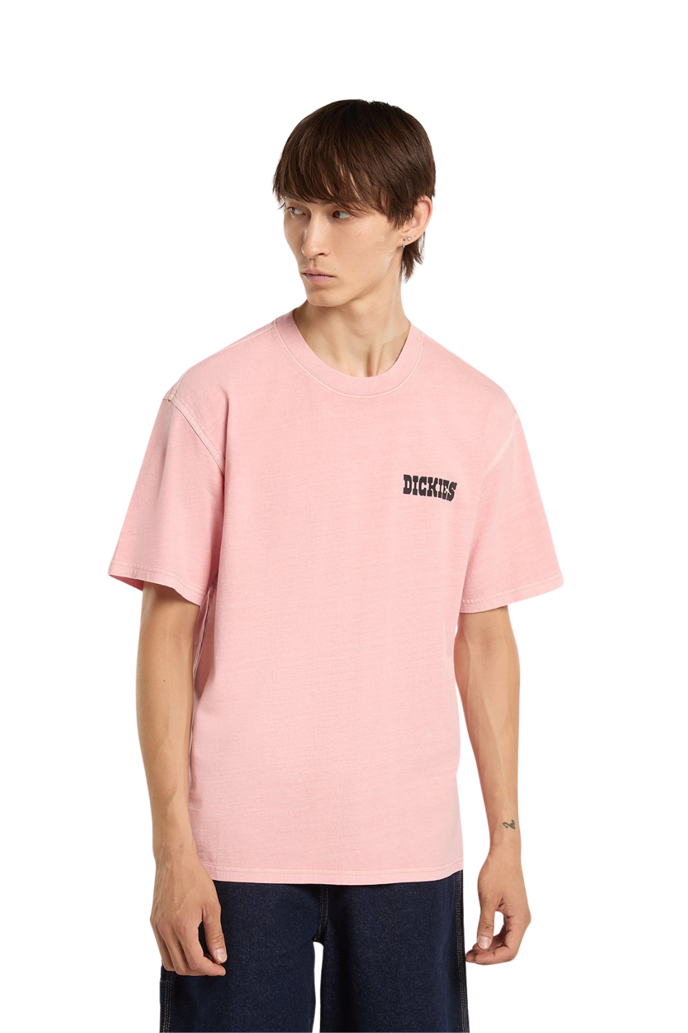 Dickies Buchtell Mens T-Shirt Bridal Rose