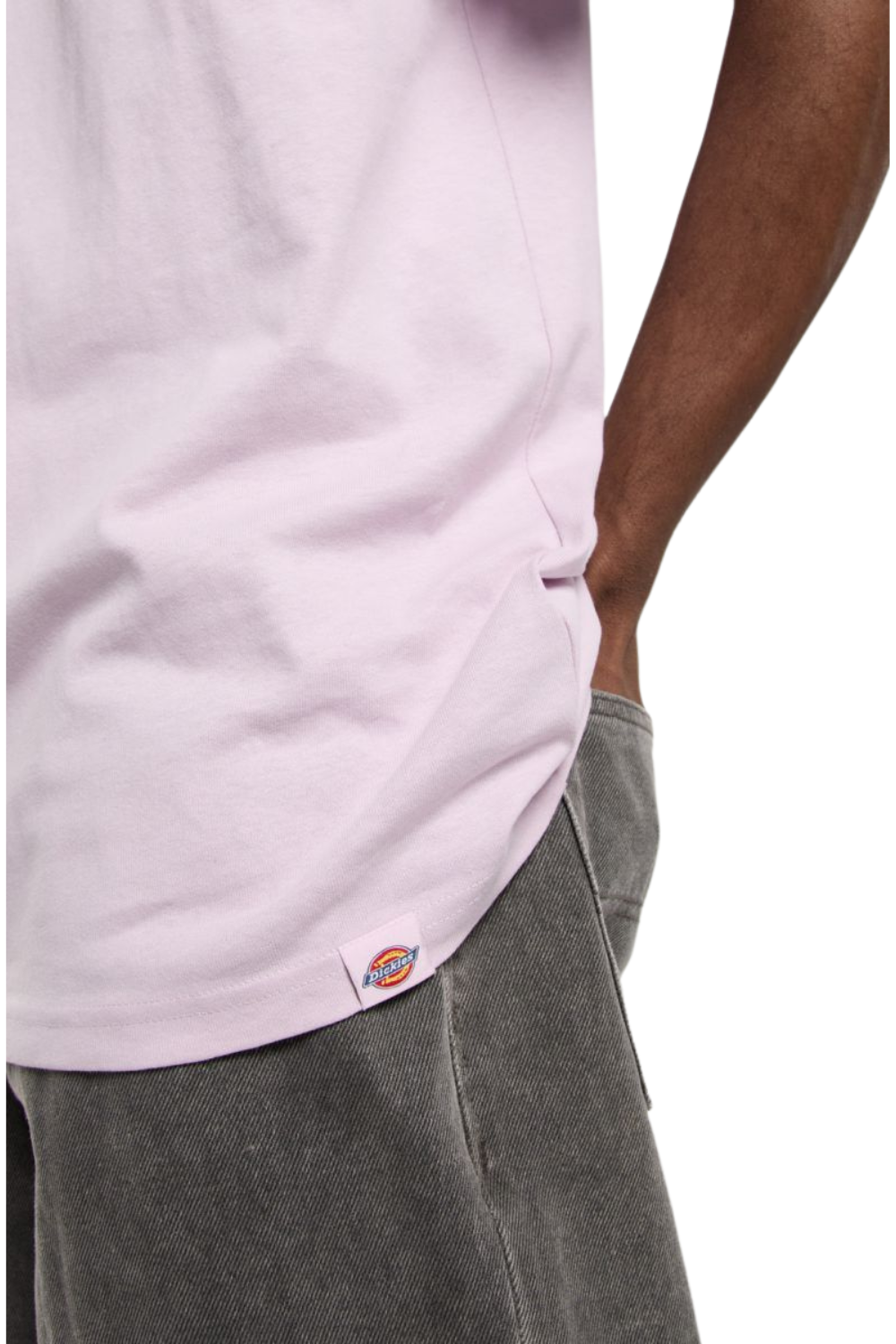 Dickies Statesville Short Sleeve T-Shirt Peach Brulee