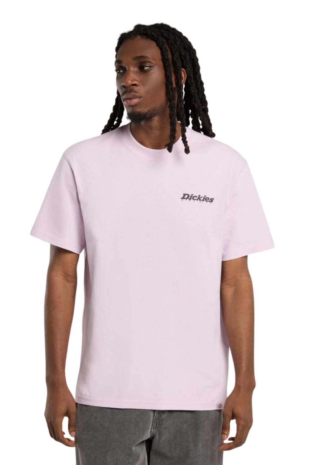 Dickies Statesville Short Sleeve T-Shirt Peach Brulee