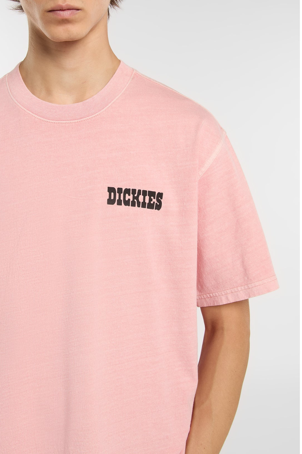 Dickies Buchtell Mens T-Shirt Bridal Rose