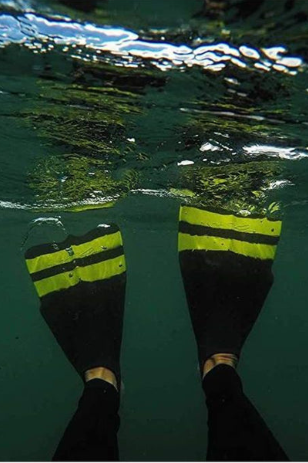 DaFin Slyde Swimfin Black/Yellow
