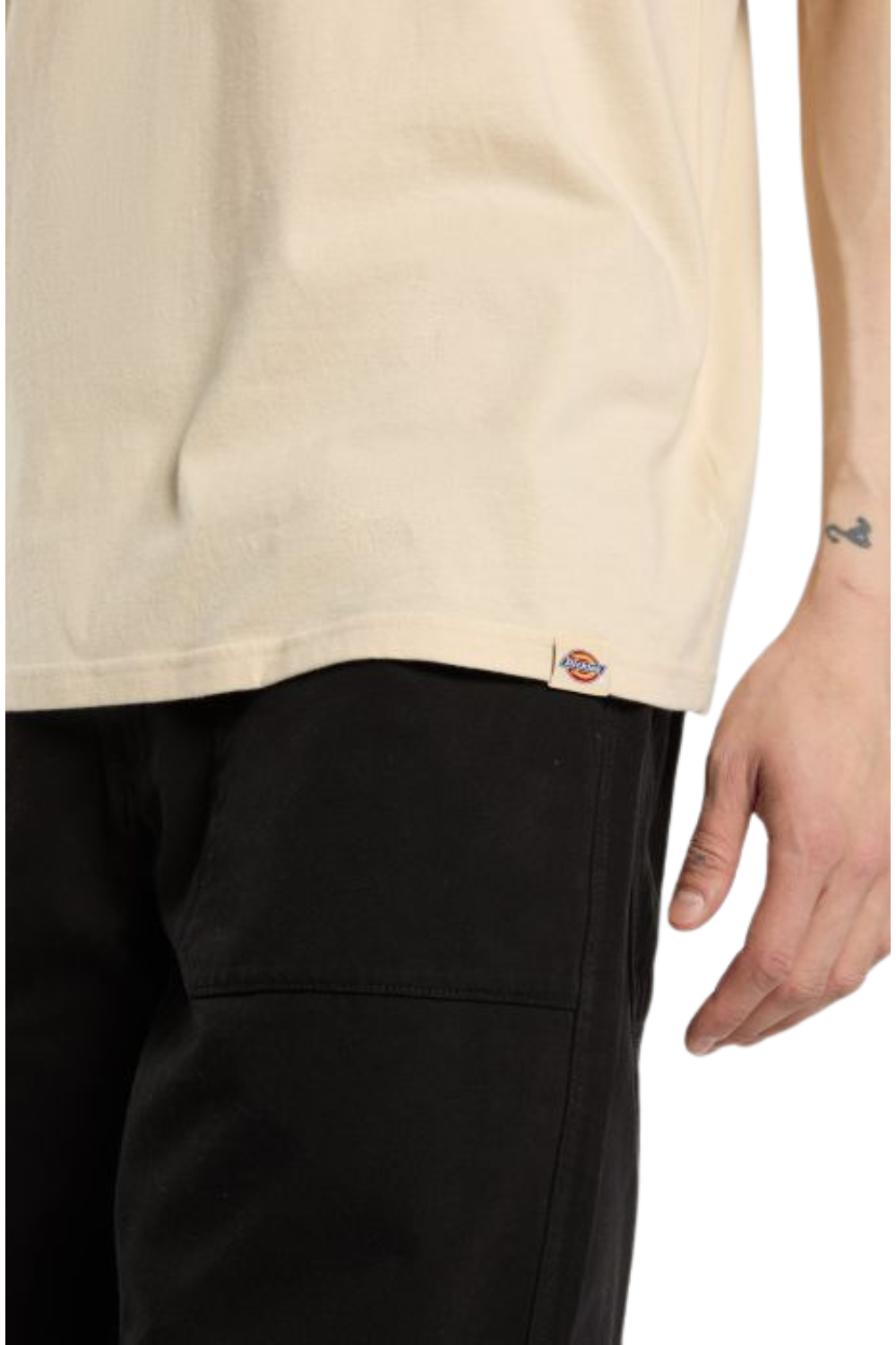Dickies Apison Short Sleeve T-Shirt Dessert Sand