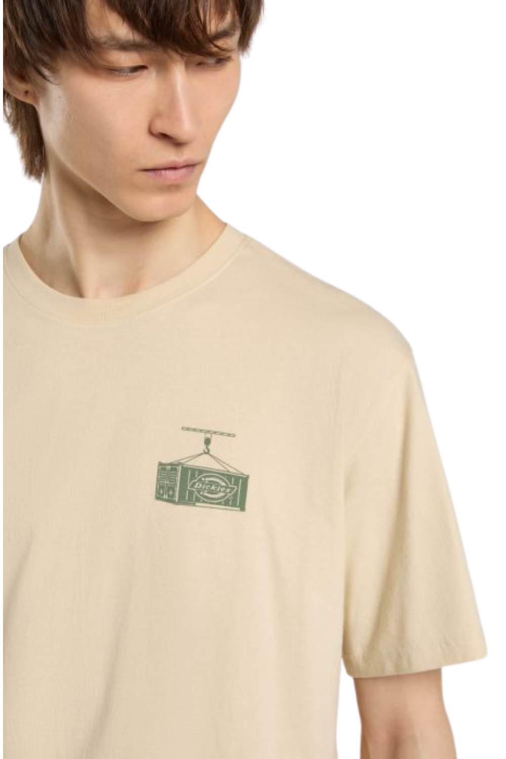 Dickies Apison Short Sleeve T-Shirt Dessert Sand