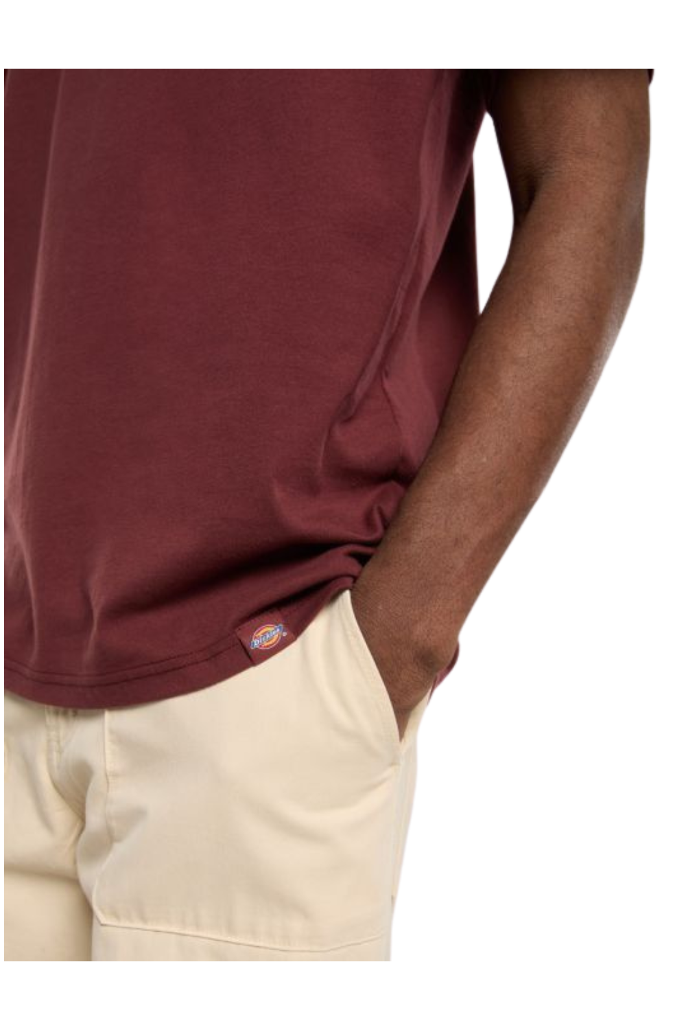 Dickies Burns Short Sleeve T-Shirt Burgundy
