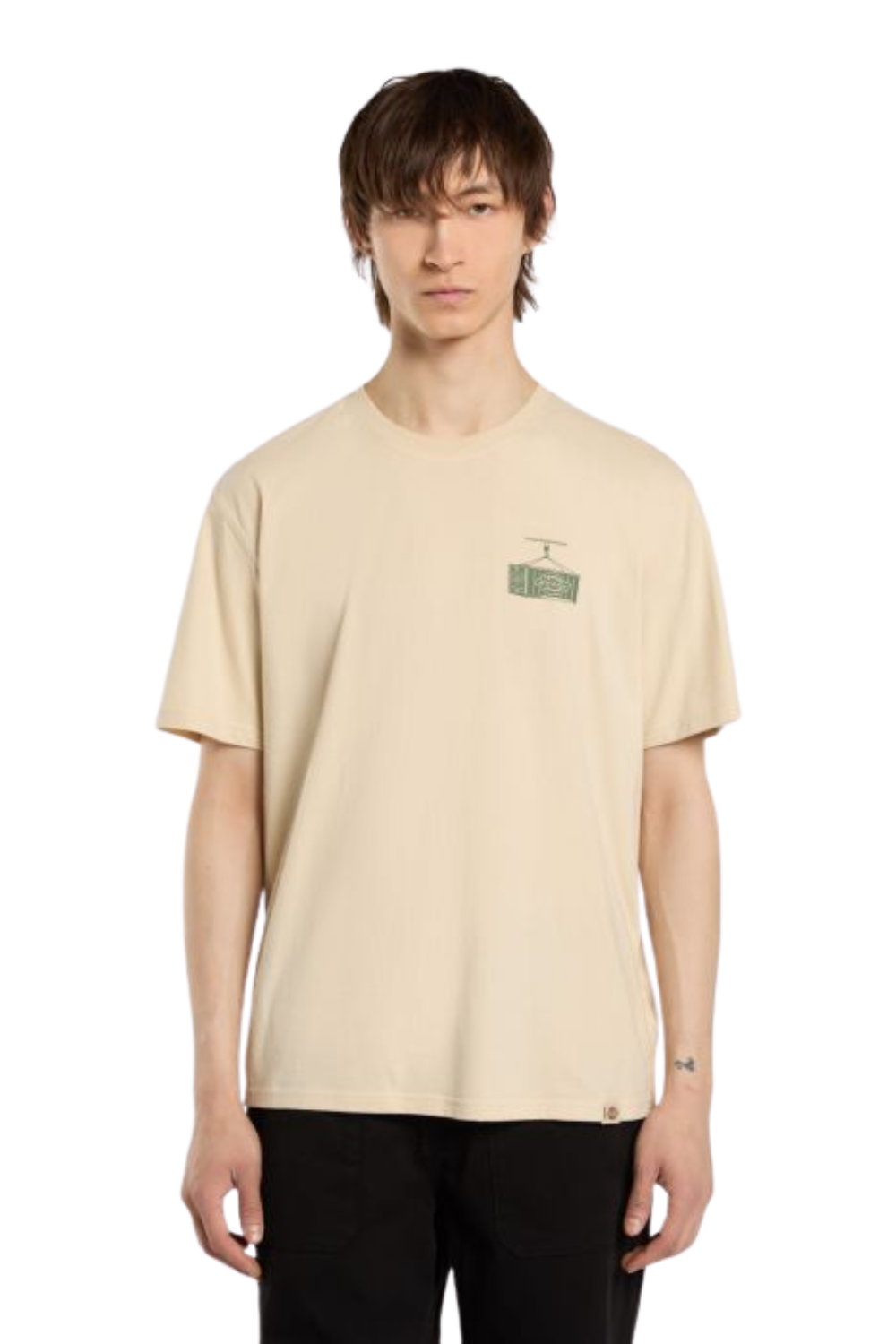 Dickies Apison Short Sleeve T-Shirt Dessert Sand