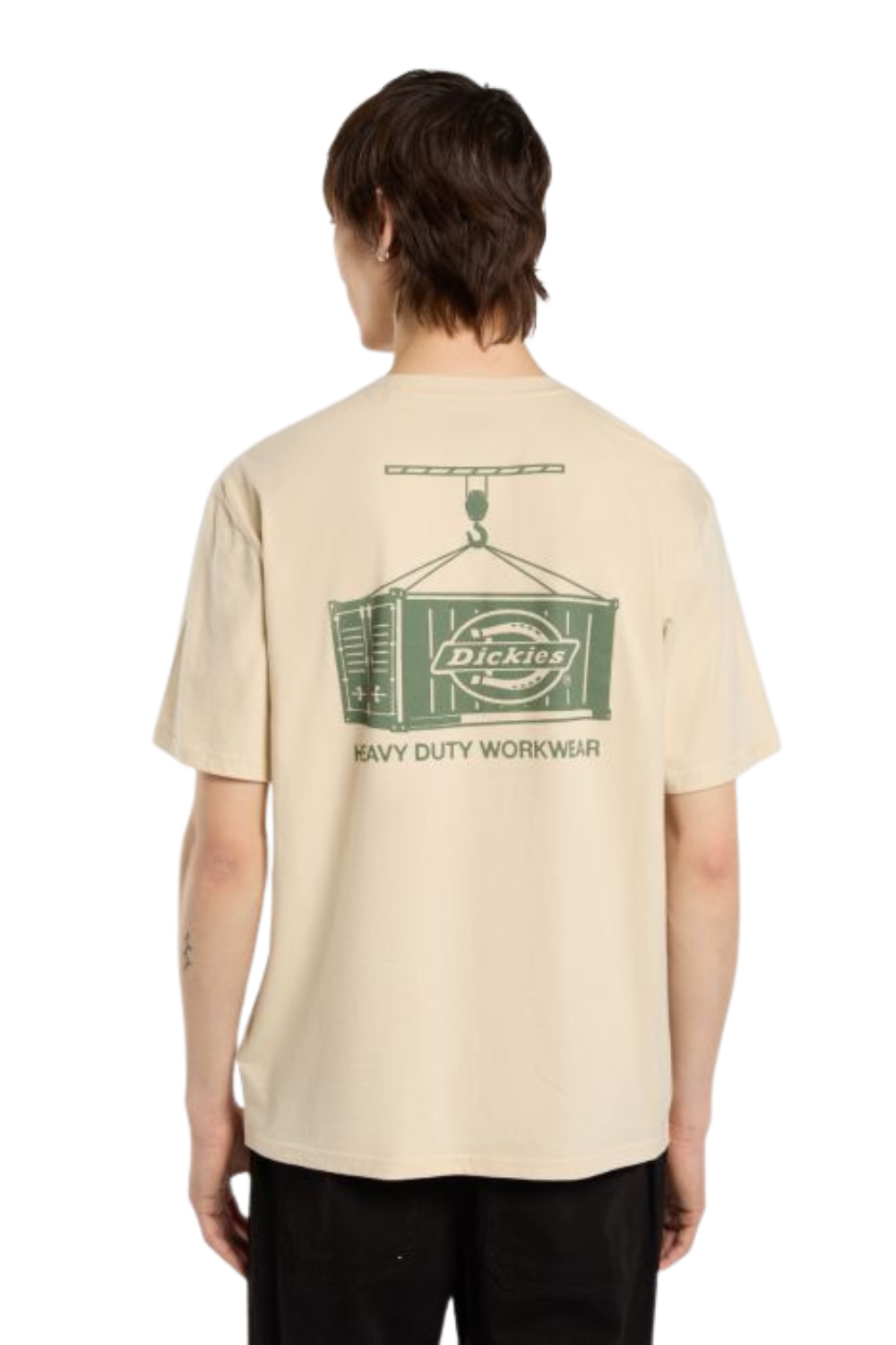 Dickies Apison Short Sleeve T-Shirt Dessert Sand