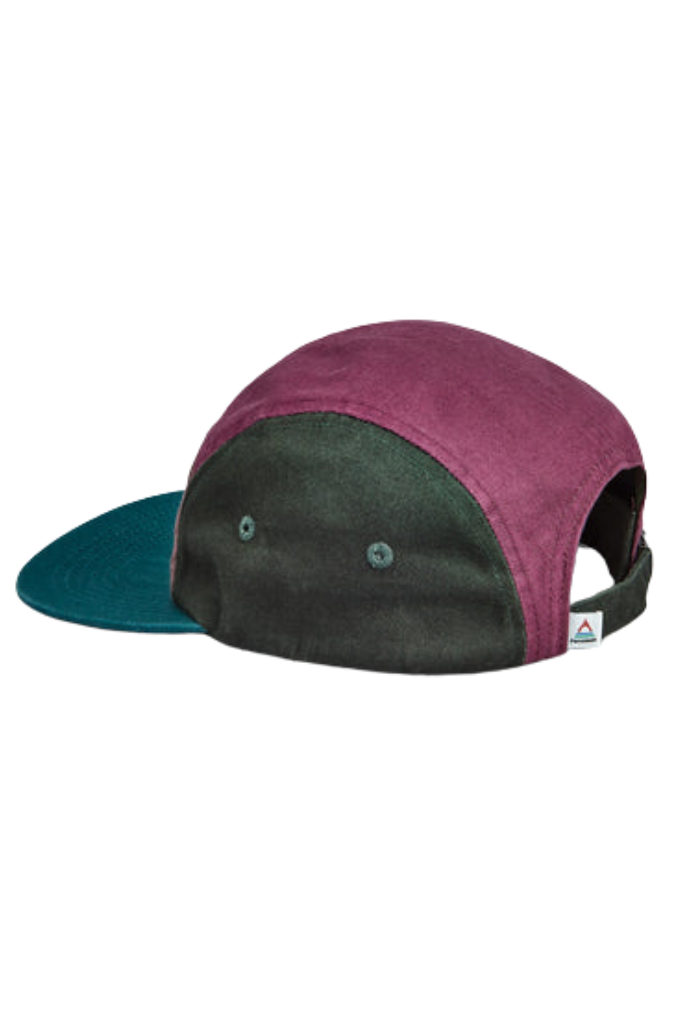 Passenger Fixie Recycled 5 Panel Cap Grape Multi