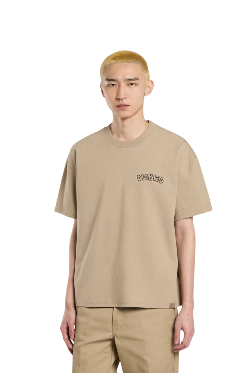 Dickies Decartuville Short Sleeve T-Shirt Desert Sand
