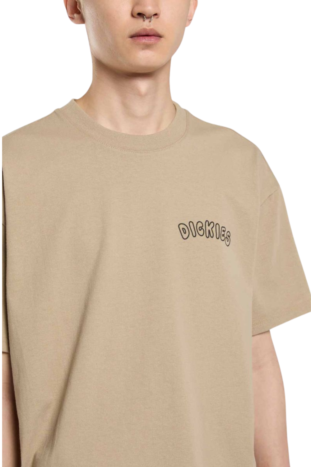Dickies Decartuville Short Sleeve T-Shirt Desert Sand