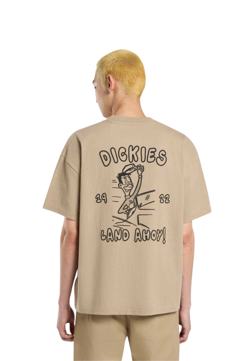 Dickies Decartuville Short Sleeve T-Shirt Desert Sand