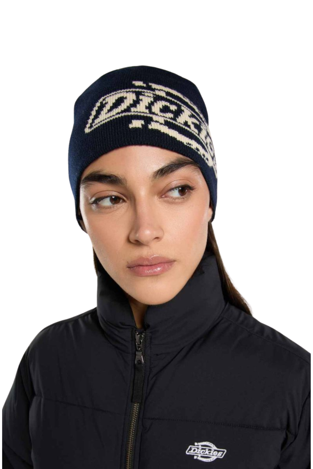 Dickies Summerdale Logo Beanie Night Sky