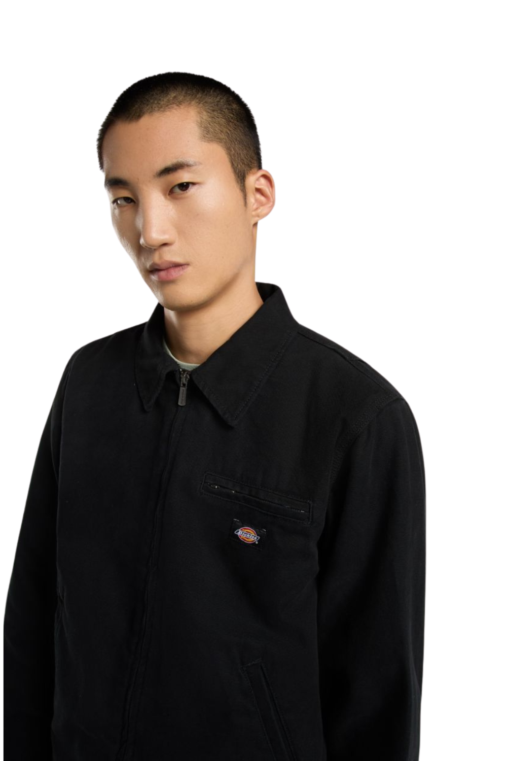 Dickies Painter Canvas Jacket Black