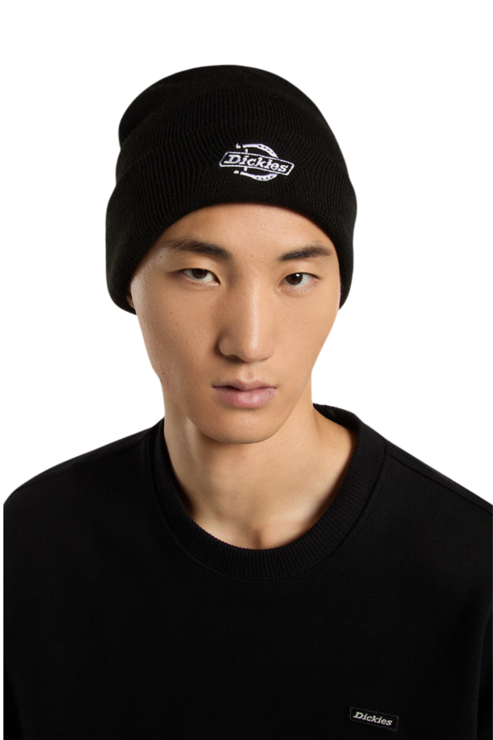 Dickies Summerdale Beanie Black