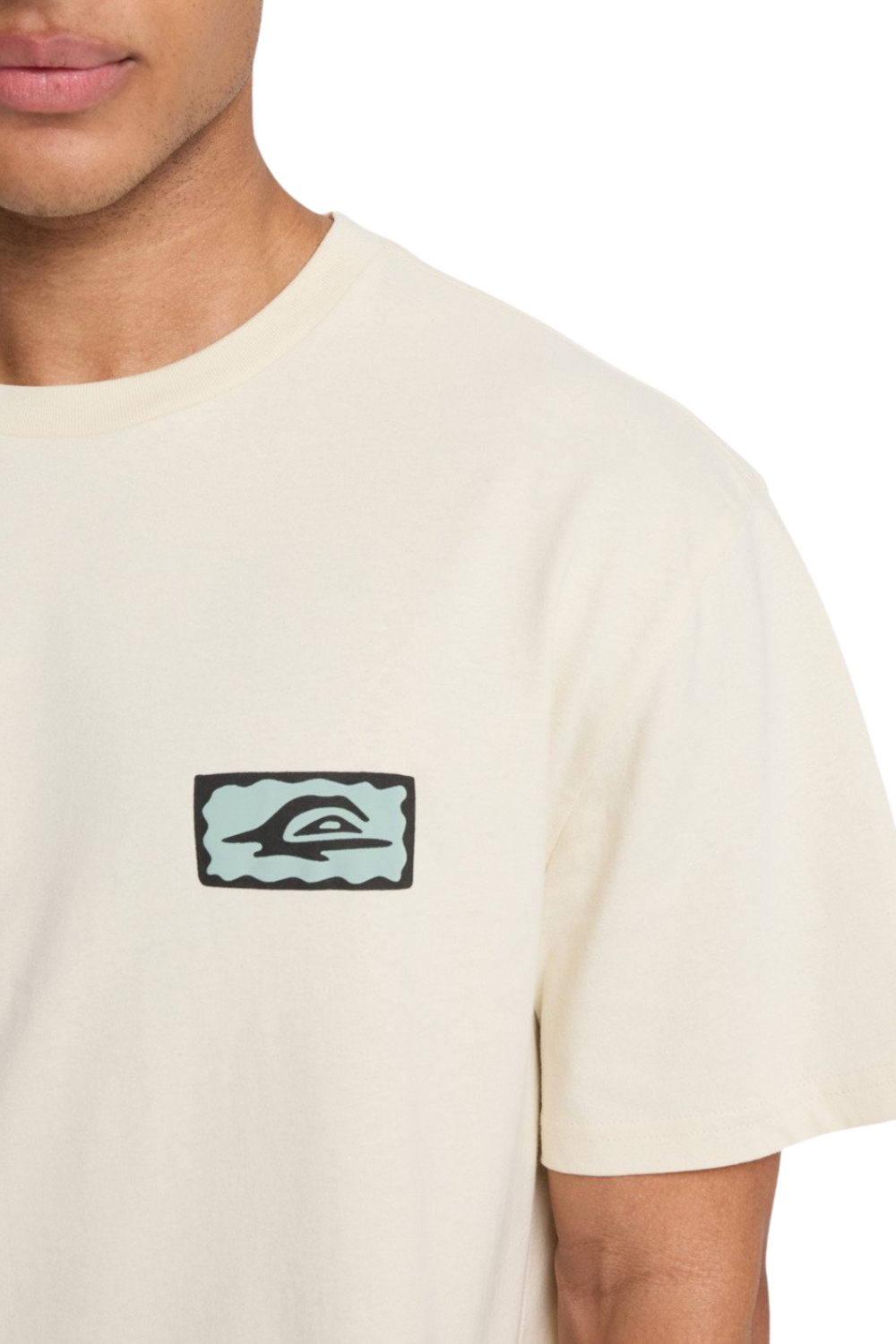 Quiksilver Serenity Splash Mens T-Shirt Bone White