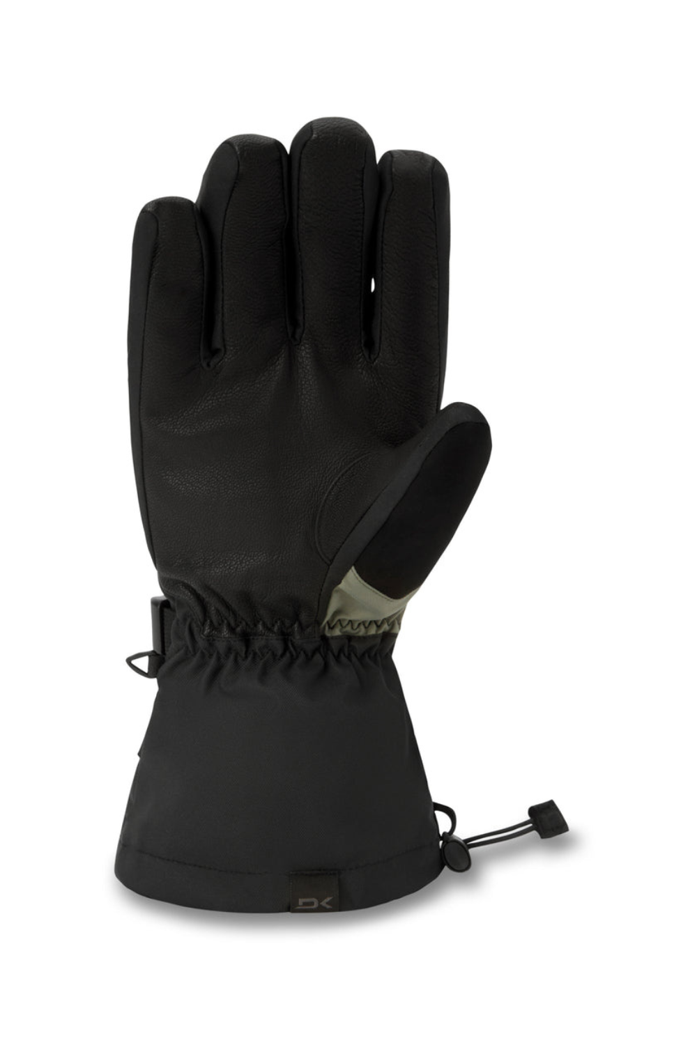 Dakine Mens Titan Gore-Tex Gloves Mulled Basil