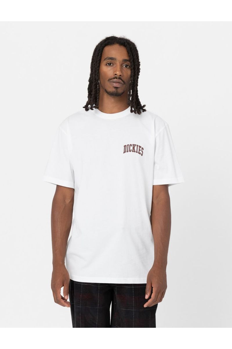 Dickies Aitken Chest Short Sleeve T-Shirt White Fired Brick