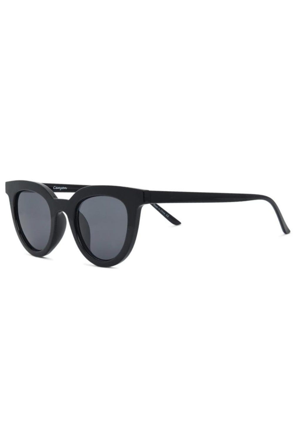 I-Sea Canyon Sunglasses Black /Smoke Polarized