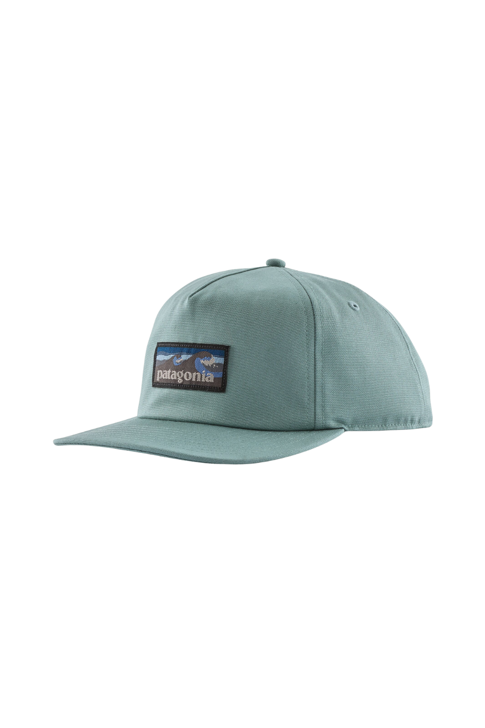 Light blue cap with Patagonia logo on a white background