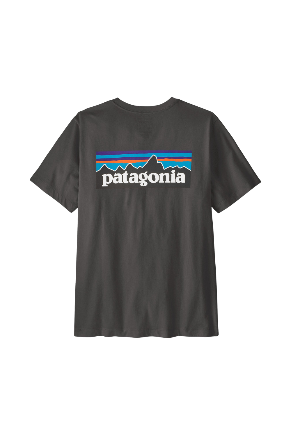 Black t-shirt with a bold Patagonia logo print on the back