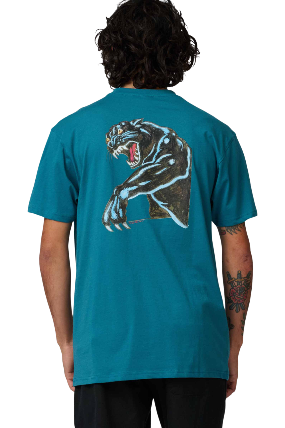 Person wearing a teal t-shirt with a panther graphic on the back, standing against a white background