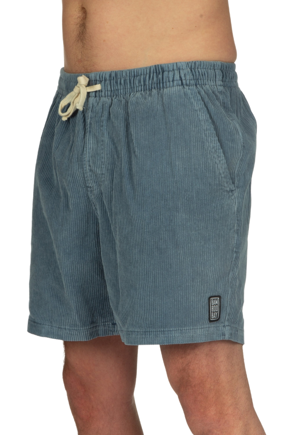 Blue Chill Shorts