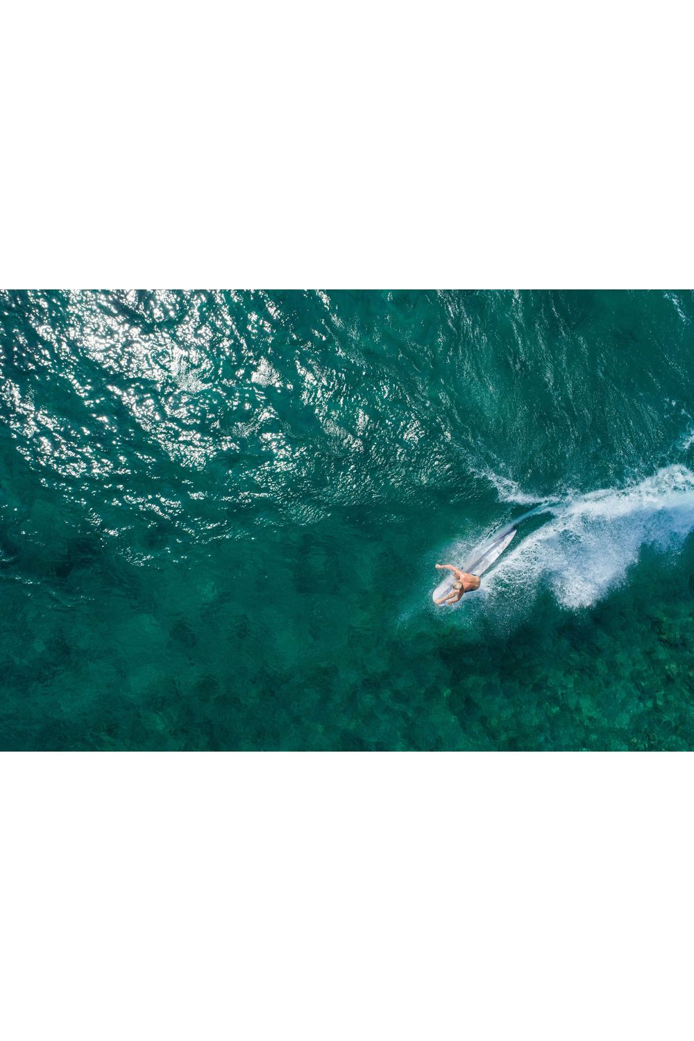 Torq TEC The Horseshoe (Gen 2) Surfboard Stone/White