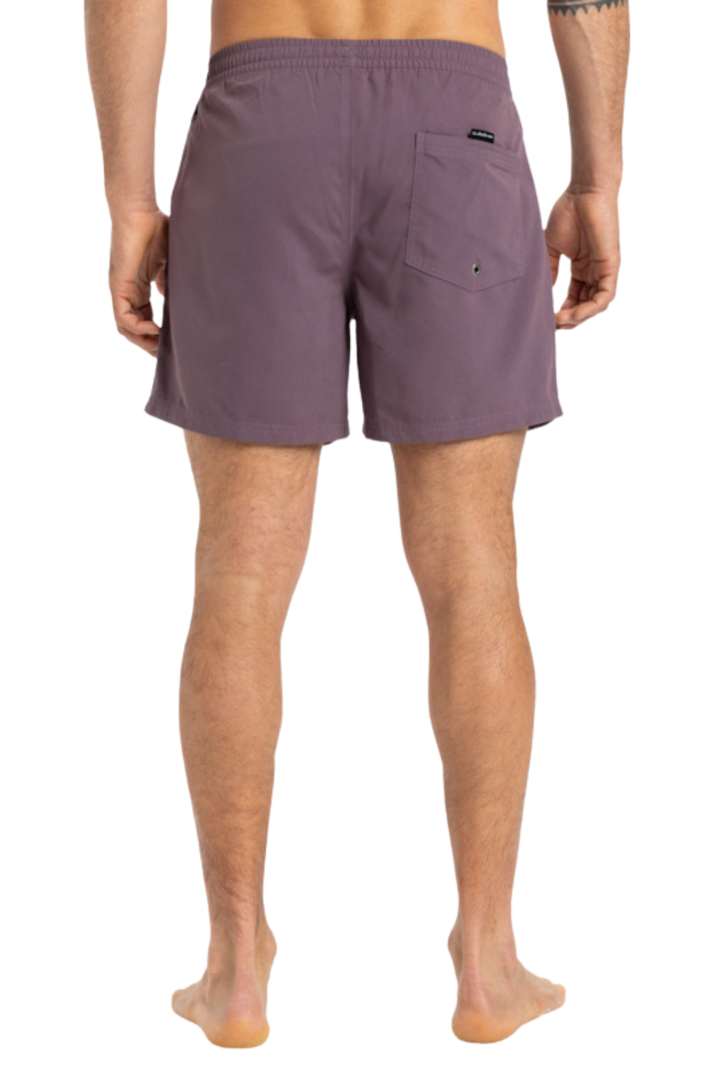 Quiksilver Everyday Solid Volley 15" Board Shorts Vintage Violet