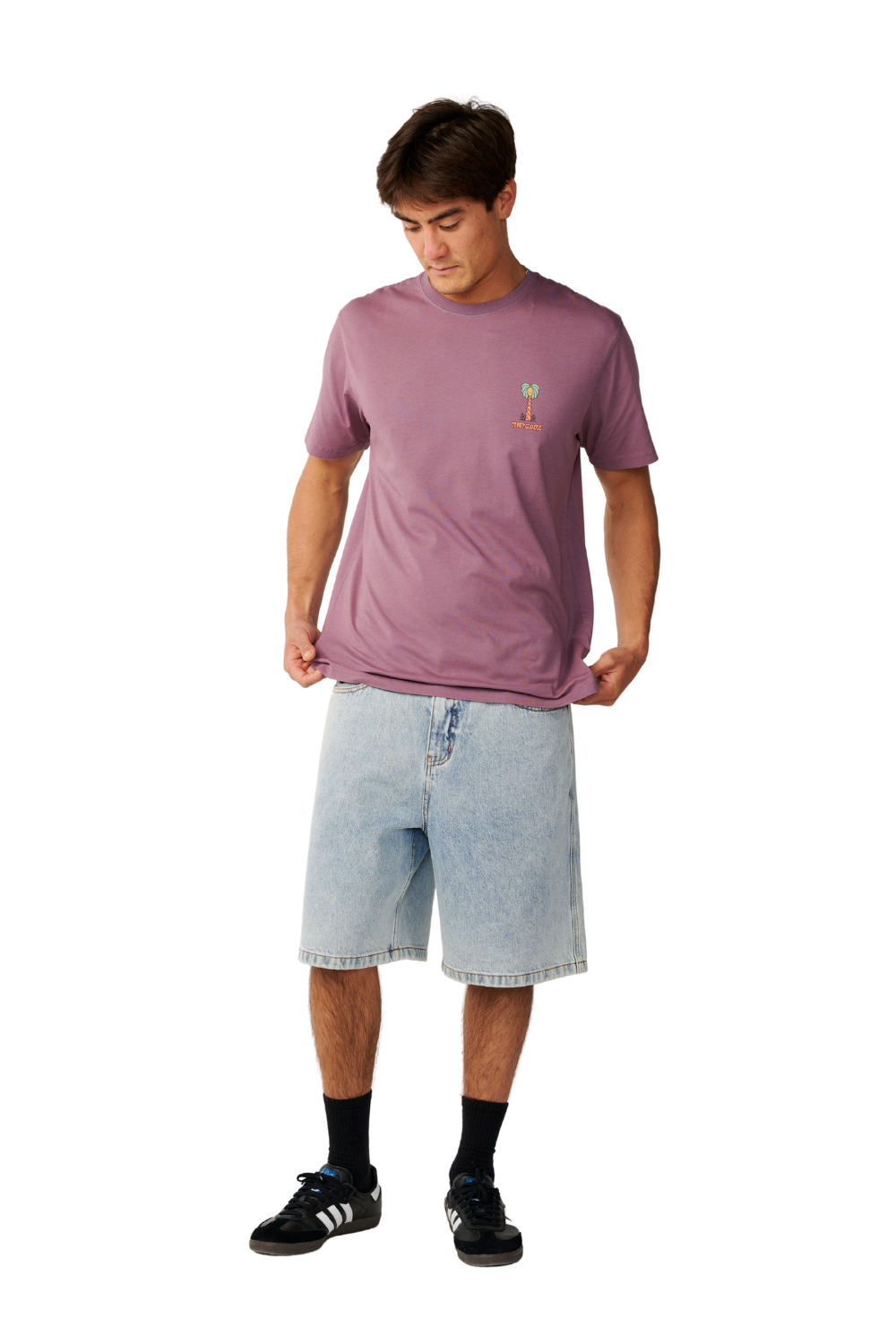 Rip Curl Pacific Rinse Higgins Mens T-Shirt Dusty Purple