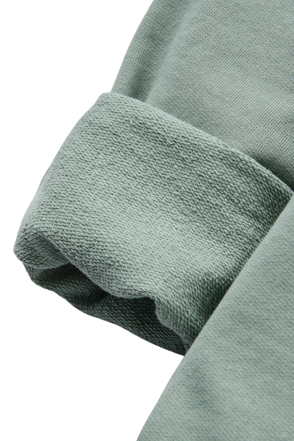 Passenger Sonoma Mens Sweatshirt Pistachio