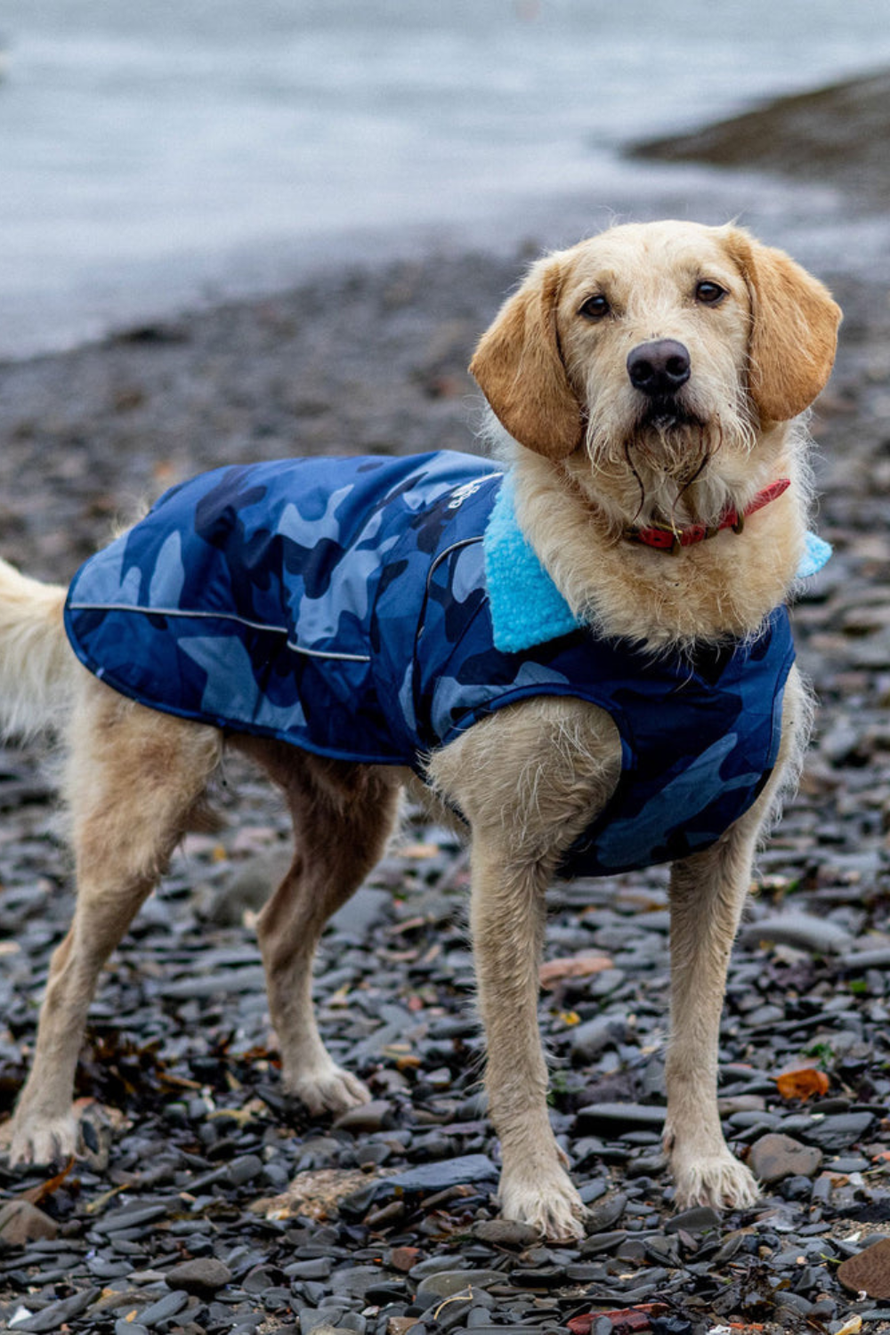 Dryrobe Dog Robe V3 Blue Camo