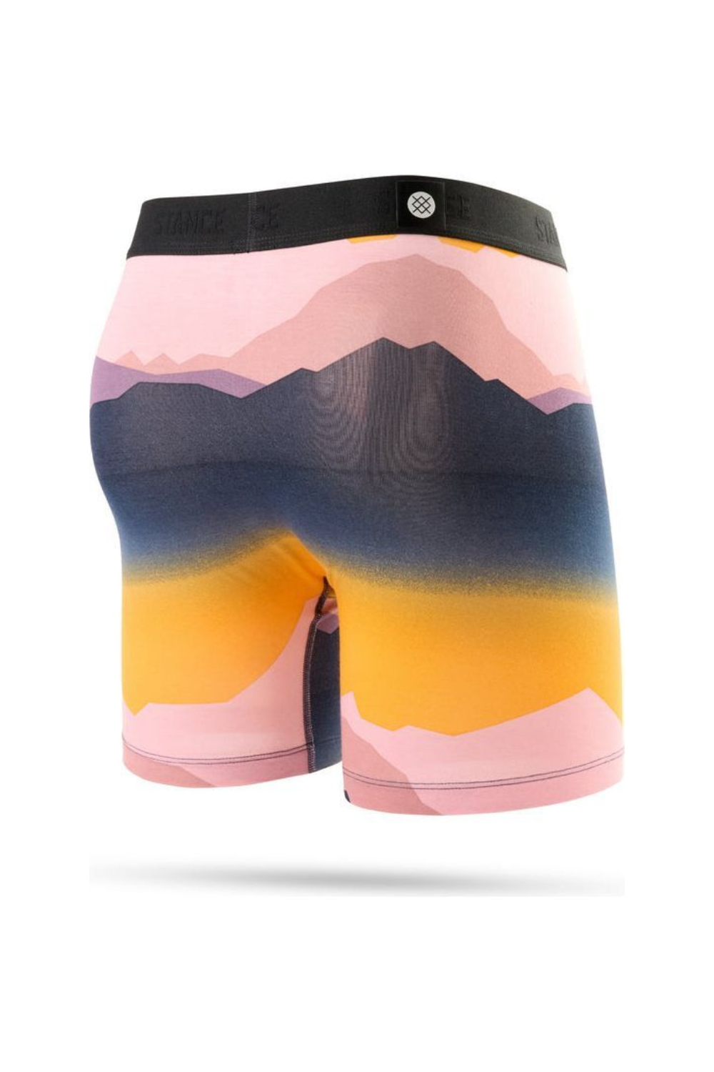 Stance Saddleback Wholester Boxer Brief Navy Fade