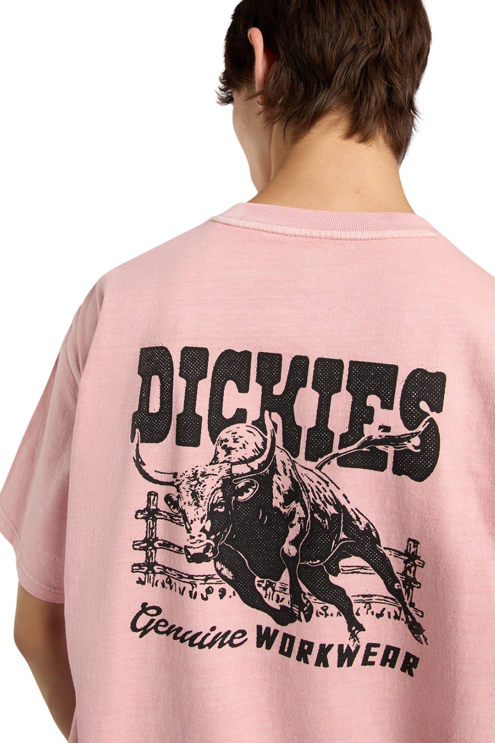 Dickies Buchtell Mens T-Shirt Bridal Rose
