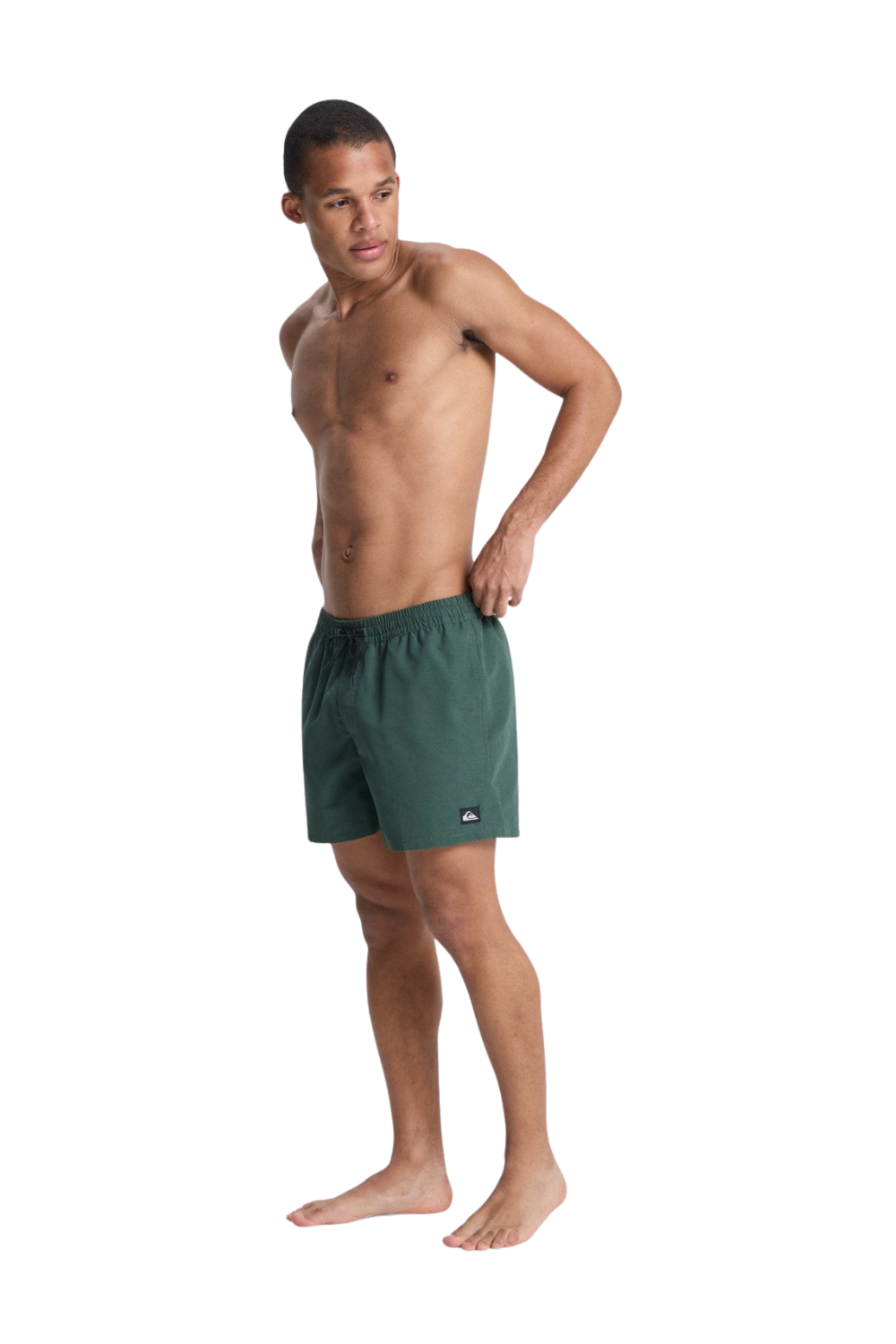 Quiksilver Everyday Volley Mens 15" Swim Shorts Forest Heather