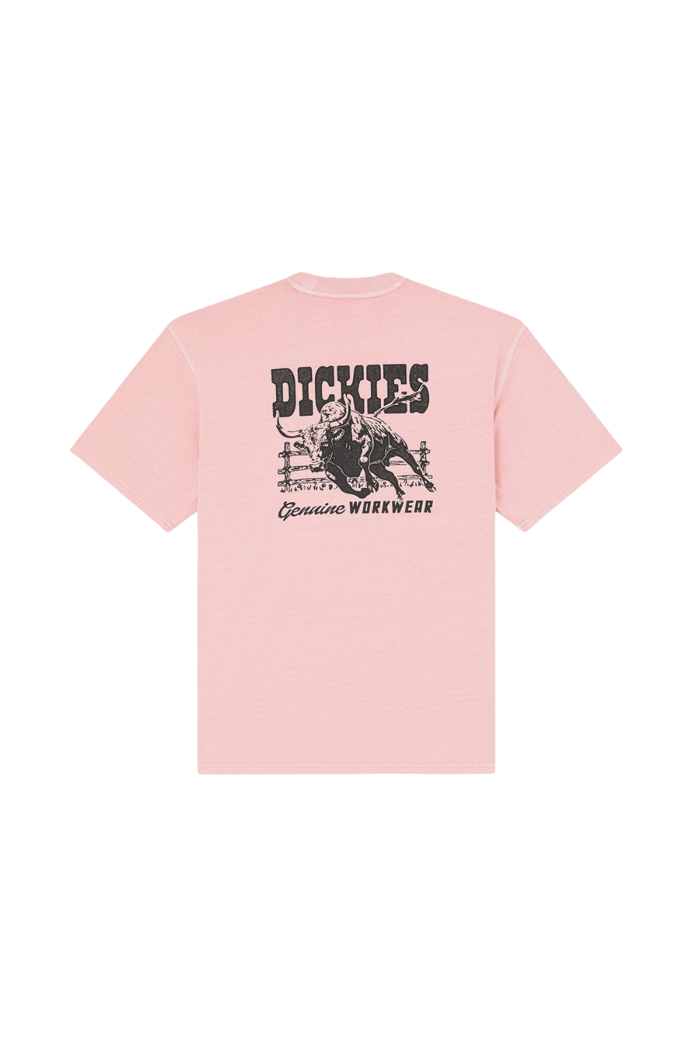Dickies Buchtell Mens T-Shirt Bridal Rose