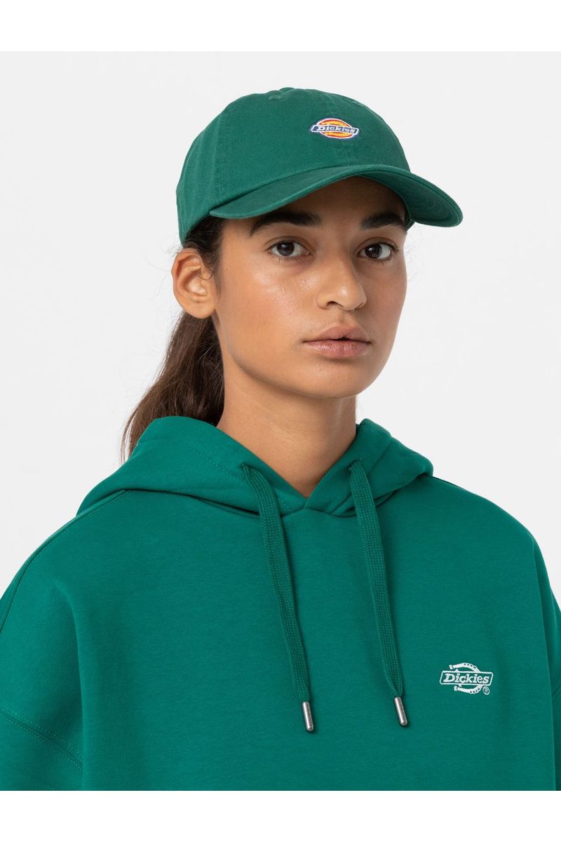 Dickies Hardwick Cap Aventurine