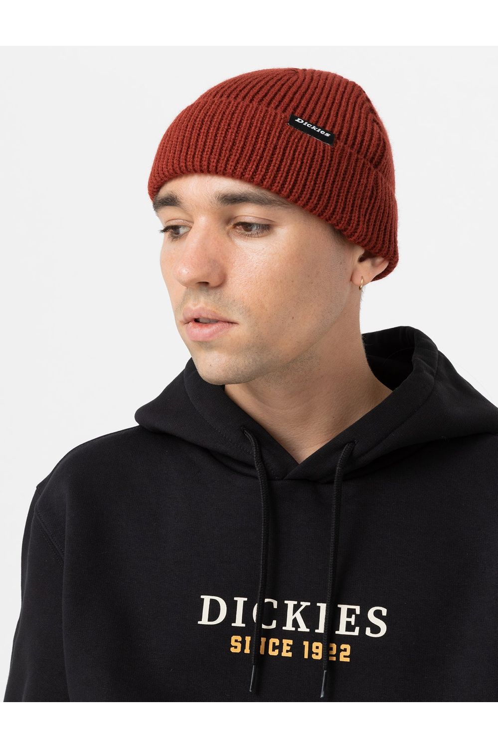 Dickies Woodworth Beanie Fired Brick
