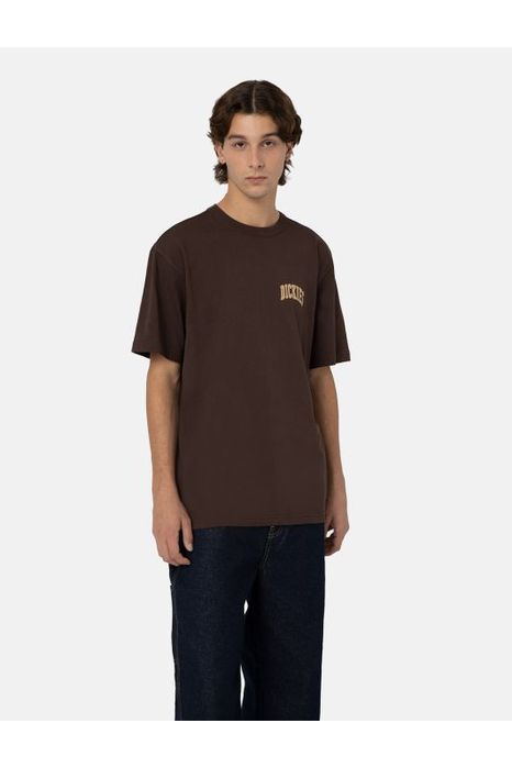 Dickies Aitken Chest Short Sleeve T-Shirt Java