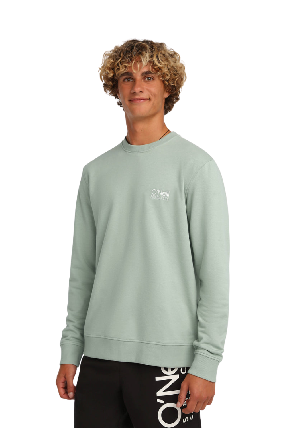 Man wearing a light green sweatshirt with a logo on a white background