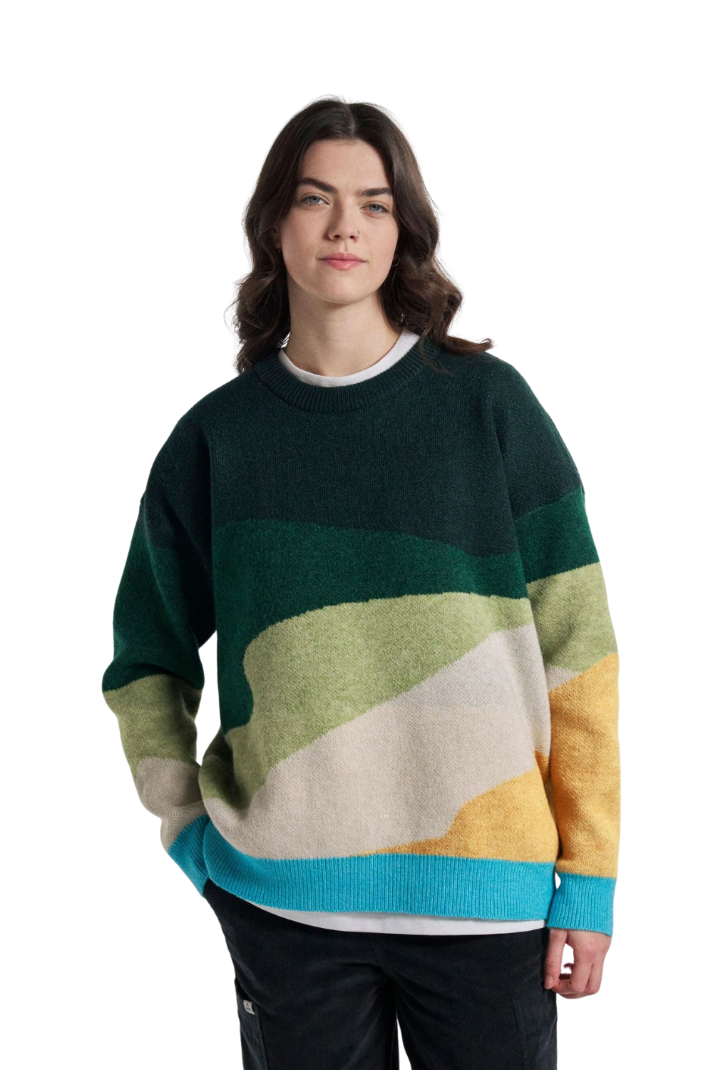 Passenger Scenic Womens Recycled Knitted Jumper Scenic Dark Fern