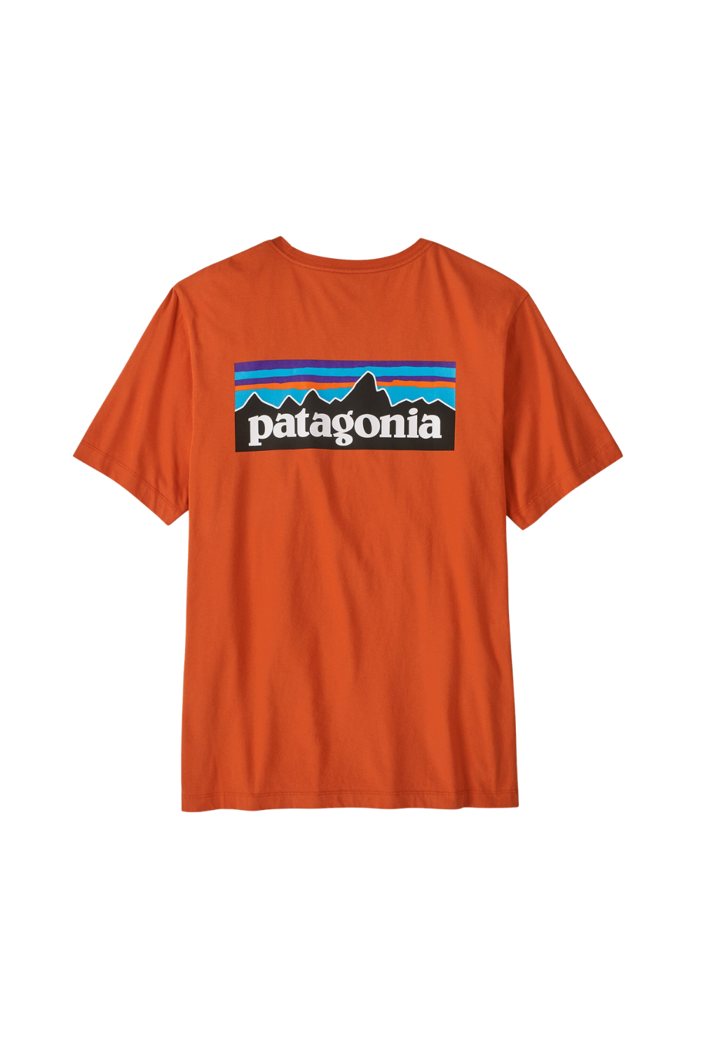 Orange t-shirt with Patagonia logo on a white background